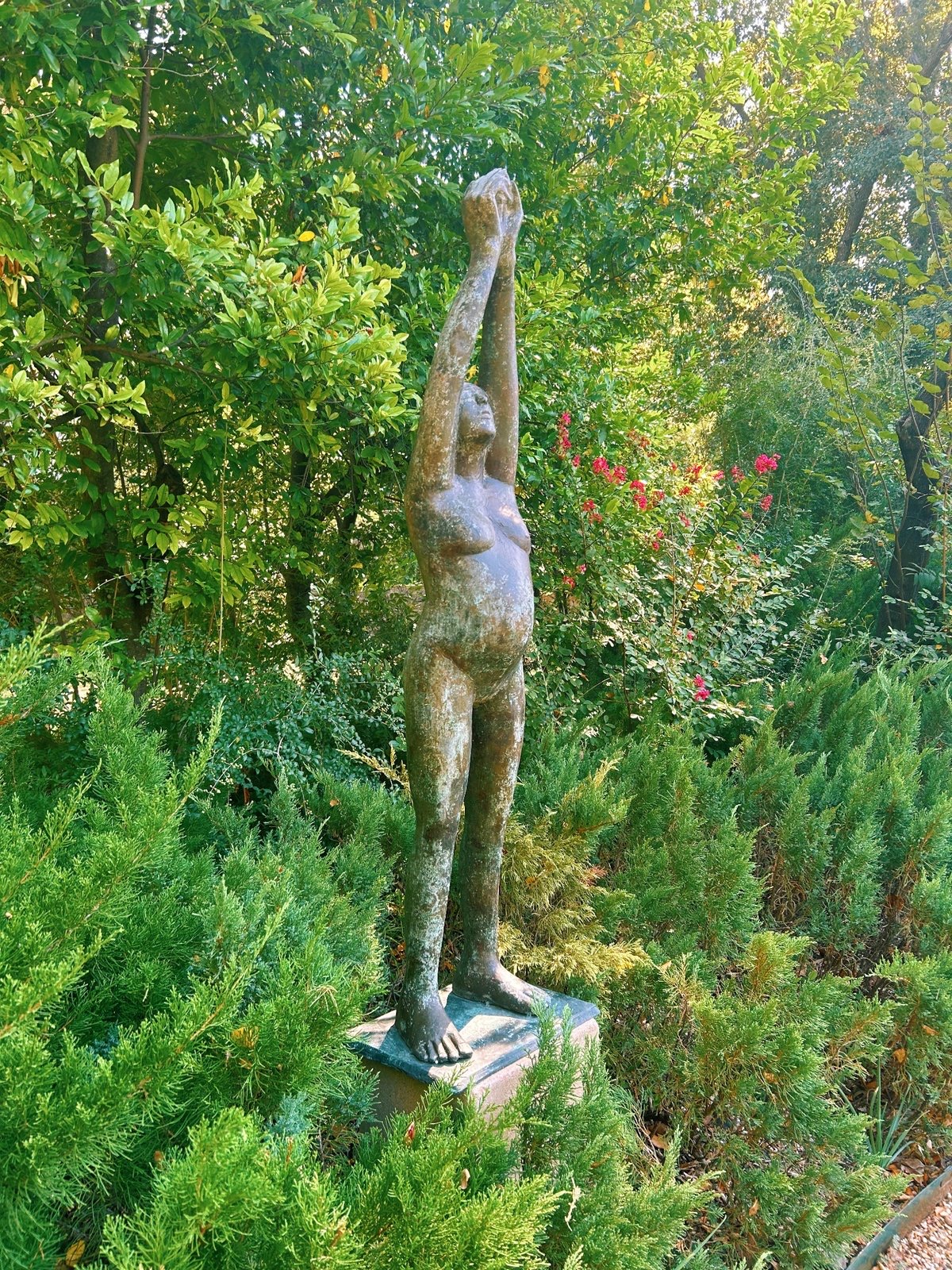 gardens